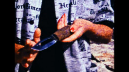 Franziska von Stenglin