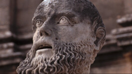 Franziska von Stenglin