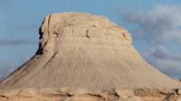 Franziska von Stenglin