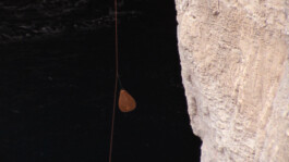 Franziska von Stenglin