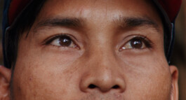 Franziska von Stenglin