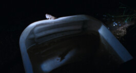 Franziska von Stenglin