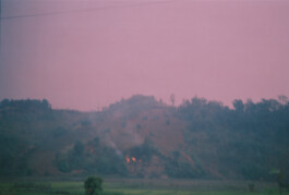 Franziska von Stenglin