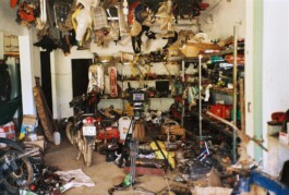 Franziska von Stenglin