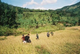 Franziska von Stenglin