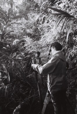 Franziska von Stenglin