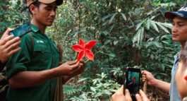 Franziska von Stenglin