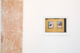 Franziska von Stenglin