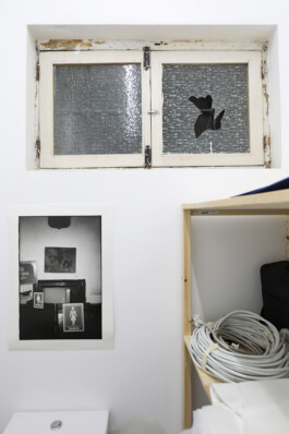 Franziska von Stenglin