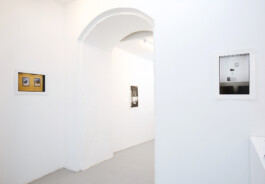 Franziska von Stenglin