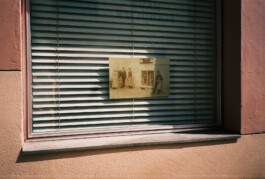 Franziska von Stenglin