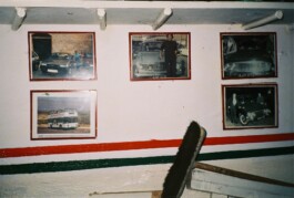 Franziska von Stenglin