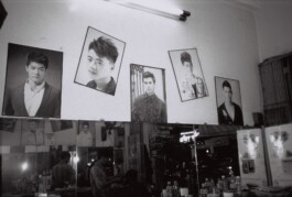 Franziska von Stenglin