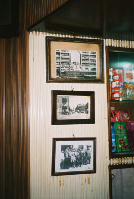 Franziska von Stenglin