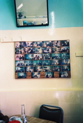 Franziska von Stenglin