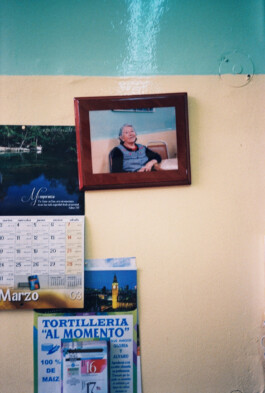 Franziska von Stenglin