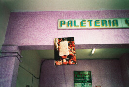 Franziska von Stenglin