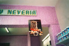 Franziska von Stenglin