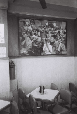 Franziska von Stenglin