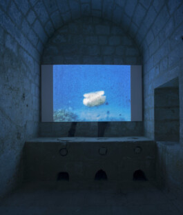 Franziska von Stenglin