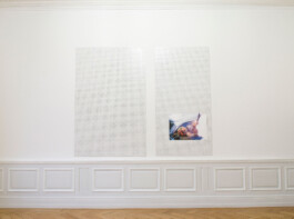 Franziska von Stenglin