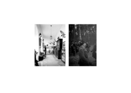 Franziska von Stenglin