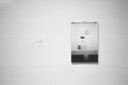 Franziska von Stenglin