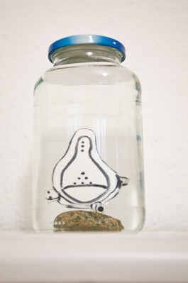 Franziska von Stenglin