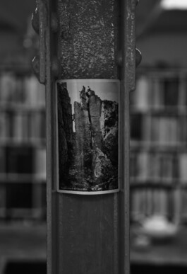 Franziska von Stenglin