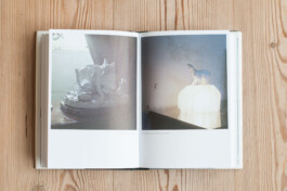 Franziska von Stenglin