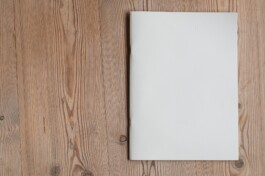 Franziska von Stenglin