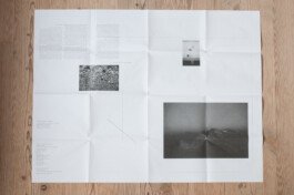 Franziska von Stenglin