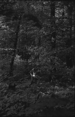 Franziska von Stenglin