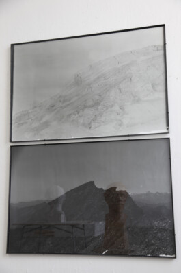 Franziska von Stenglin