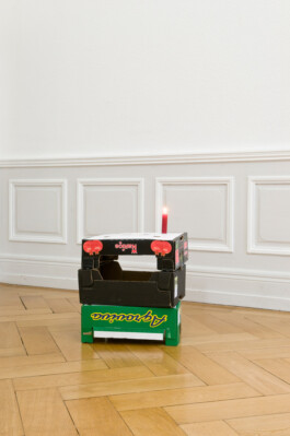 Franziska von Stenglin