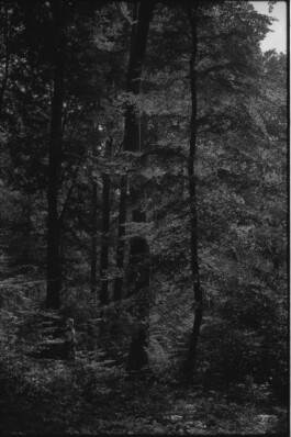 Franziska von Stenglin