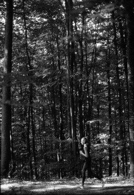 Franziska von Stenglin