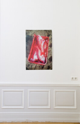 Franziska von Stenglin