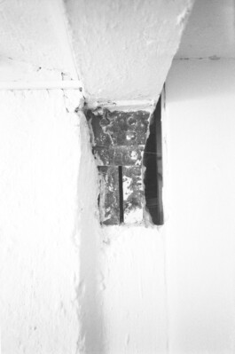 Franziska von Stenglin