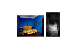 Franziska von Stenglin