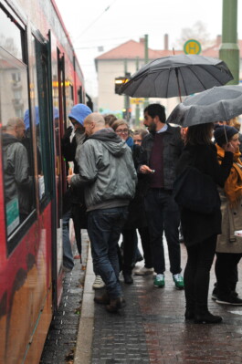 Franziska von Stenglin