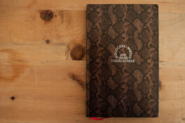 Franziska von Stenglin