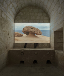 Franziska von Stenglin