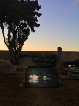 Franziska von Stenglin