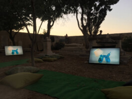 Franziska von Stenglin