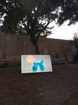 Franziska von Stenglin