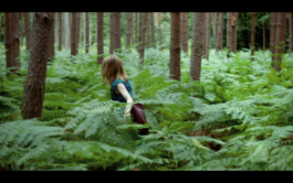 Franziska von Stenglin