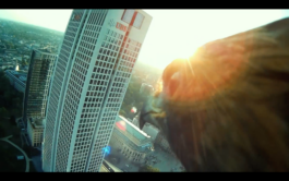 Franziska von Stenglin