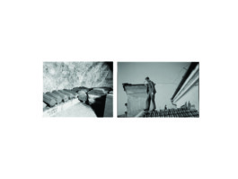 Franziska von Stenglin