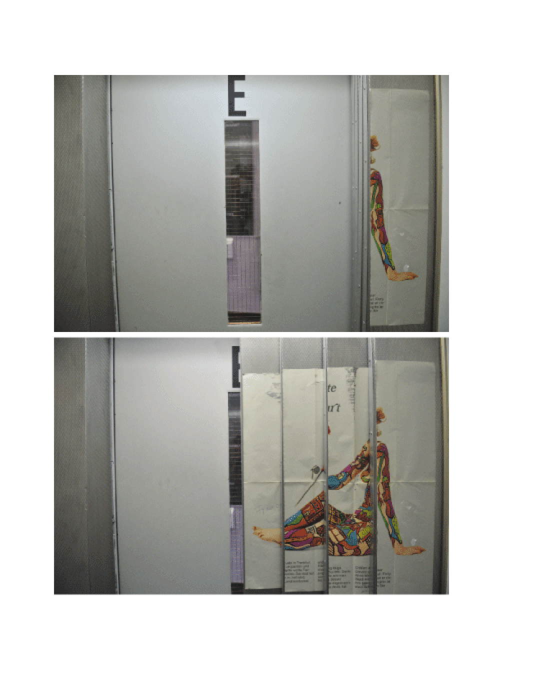 Franziska von Stenglin